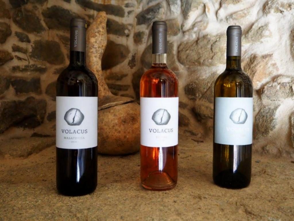 Tinos Wines - Luxury Holidays in Tinos